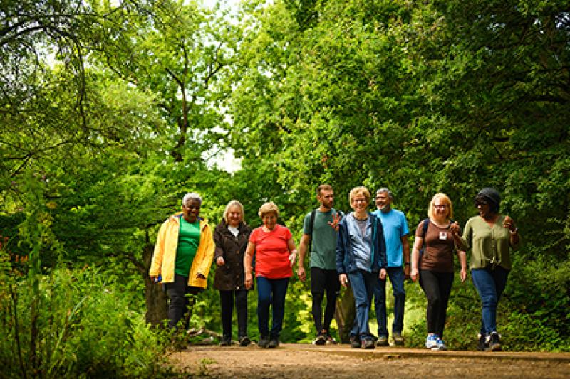 Wellbeing walks